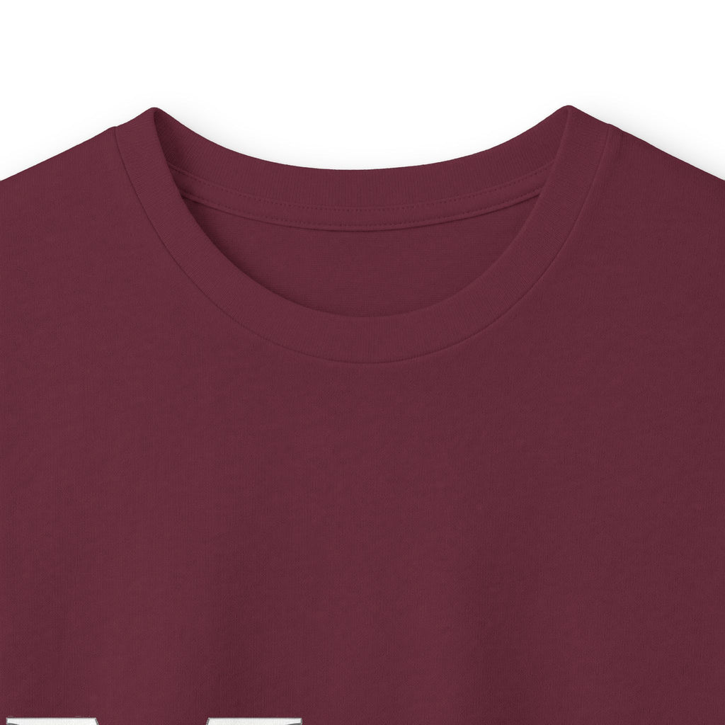 Unisex Ultra Cotton Long Sleeve Tee