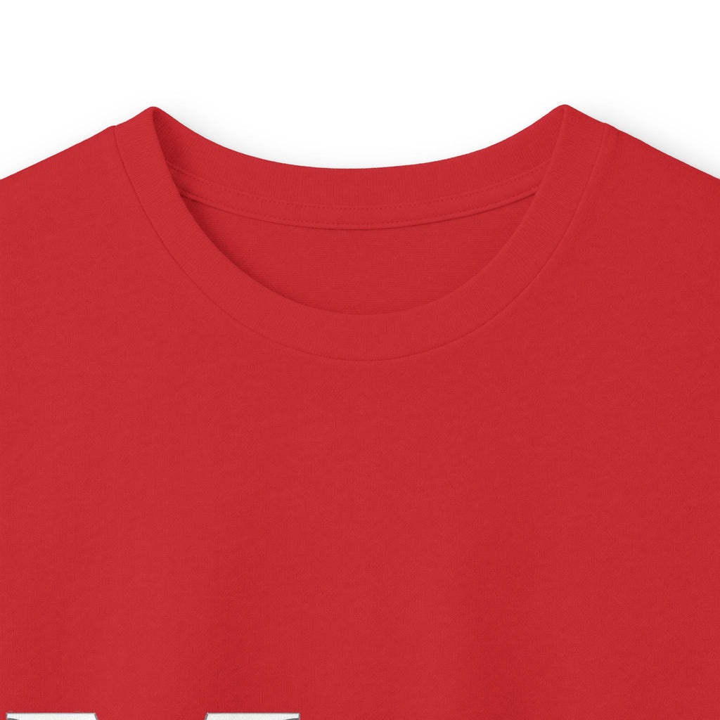 Unisex Ultra Cotton Long Sleeve Tee